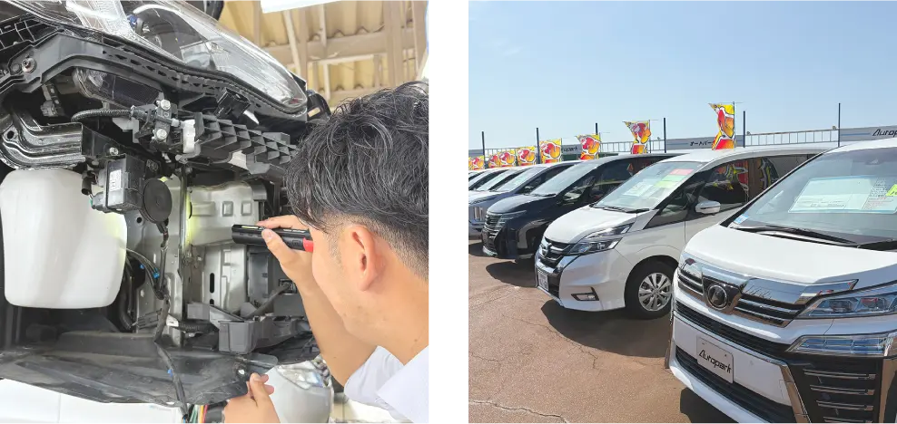 展示車はすべて無事故車